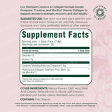 Creatine & Collagen Powder Stick Pack Exercise Strength Recovery & Skin Health Support Daily Nutrition Supplement 20 Servings