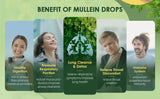 Mullein Leaf Extract Health And Fitness Supplement Clean Lung Drops Health Drops For Smokers 60ml/bottle